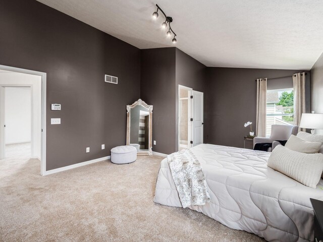 1719 Impatiens Way, Lewis Center, OH 43035 - carpeted bedroom featuring ensuite bathroom, lofted ceiling, and a textured ceiling