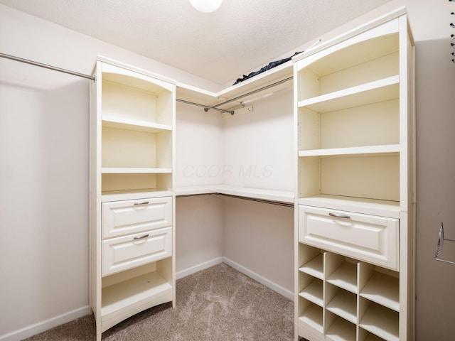 1719 Impatiens Way, Lewis Center, OH 43035 - walk in closet featuring light carpet