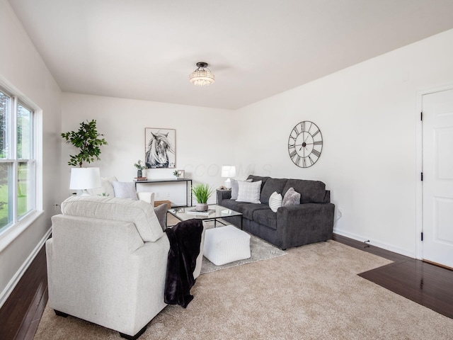 1719 Impatiens Way, Lewis Center, OH 43035 - living area with baseboards and wood finished floors
