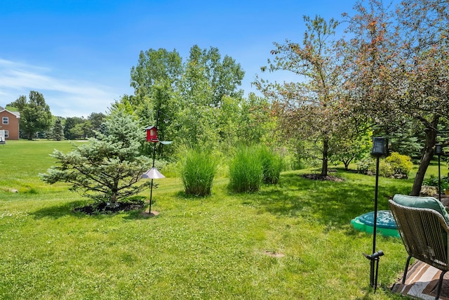 3956 Darby Park Rd, Hilliard, OH 43026 - view of green lawn