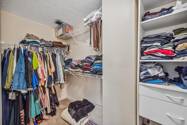 3956 Darby Park Rd, Hilliard, OH 43026 - spacious closet featuring carpet floors
