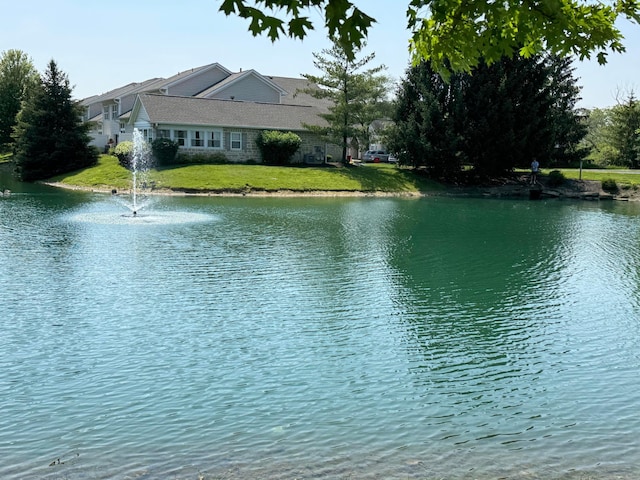 4947 Common Market Pl, Dublin, OH 43016 - photo 37