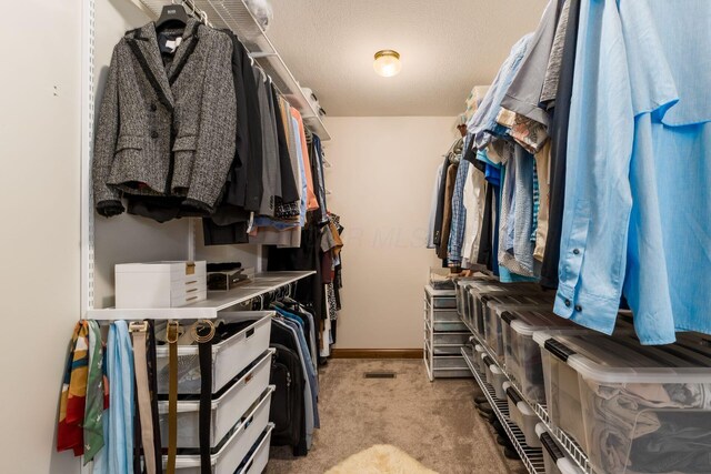 7949 Bluefield St NW, Canal Winchester, OH 43110 - spacious closet with carpet flooring