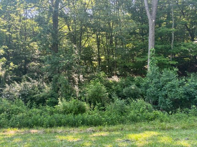 733 Grand View Dr, Howard, OH 43028 - photo 3