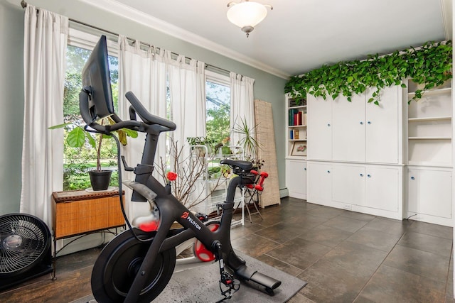207 Ashbourne Rd, Bexley, OH 43209 - exercise area featuring ornamental molding