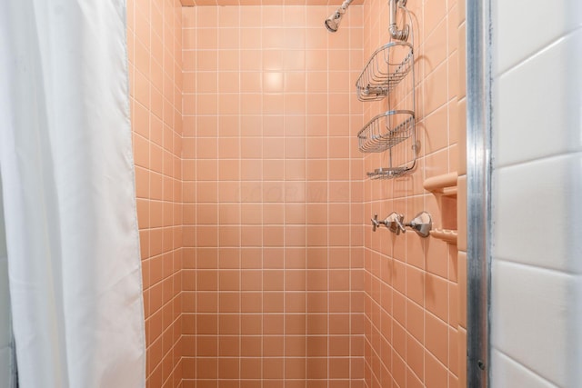 207 Ashbourne Rd, Bexley, OH 43209 - bathroom view of a tile shower