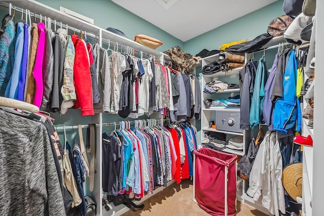 1554 Hanover Rd, Delaware, OH 43015 - walk in closet with carpet floors