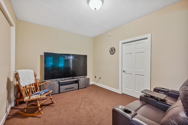 1554 Hanover Rd, Delaware, OH 43015 - living area featuring carpet flooring and a textured ceiling