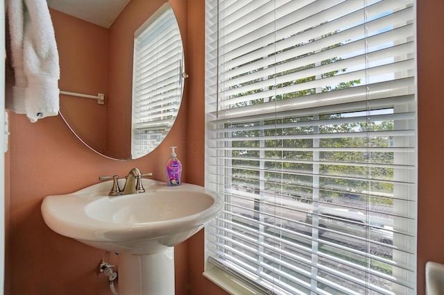 5346 Calypso Cascades Dr, Dublin, OH 43016 - bathroom featuring plenty of natural light