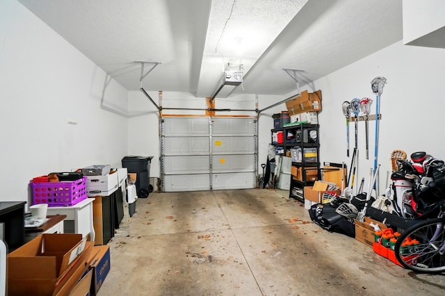 5346 Calypso Cascades Dr, Dublin, OH 43016 - garage with a garage door opener