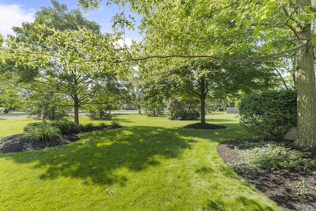 7341 Clancy Way, Westerville, OH 43082 - view of grassy yard