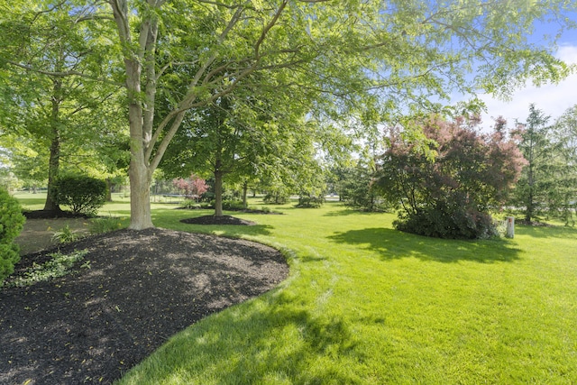 7341 Clancy Way, Westerville, OH 43082 - view of grassy yard