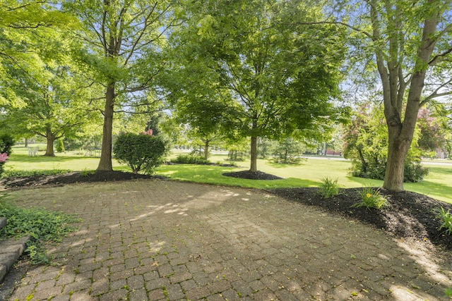 7341 Clancy Way, Westerville, OH 43082 - view of grassy yard