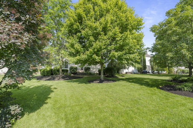 7341 Clancy Way, Westerville, OH 43082 - view of green lawn