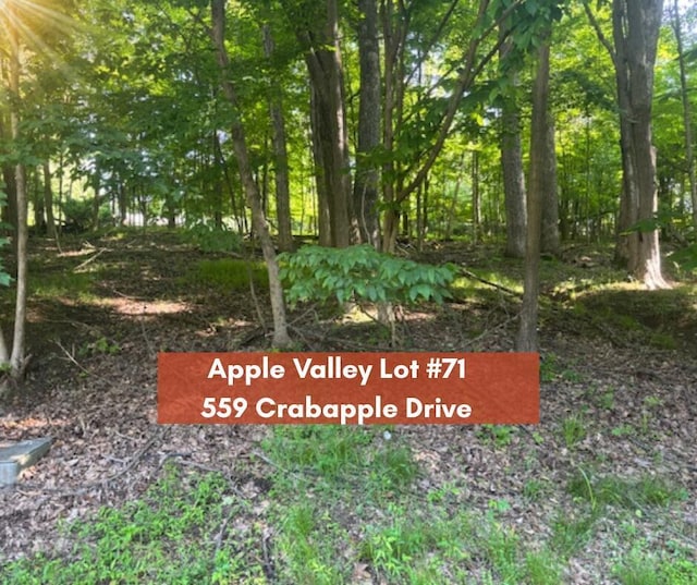559 Crabapple Dr, Howard, OH 43028 - photo 1