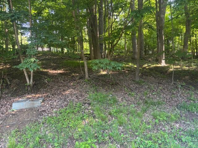 559 Crabapple Dr, Howard, OH 43028 - photo 2