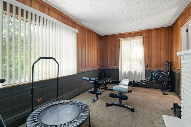 405 N Union St, Galion, OH 44833 - workout room with wood walls, carpet floors, and a textured ceiling