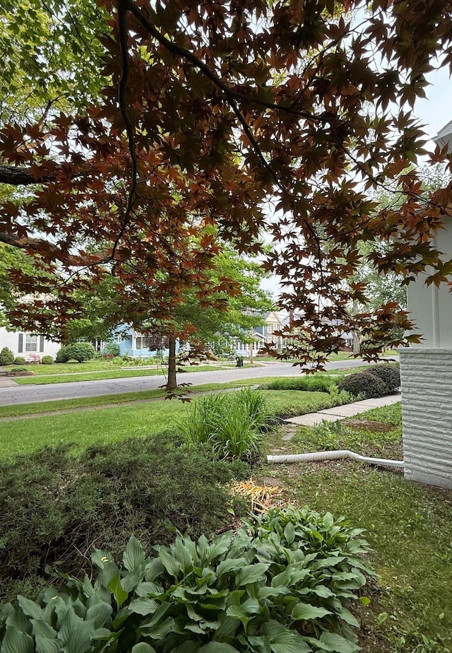 405 N Union St, Galion, OH 44833 - view of yard