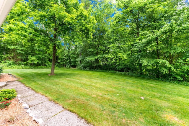4563 Donithen Rd, Marion, OH 43302 - view of green lawn