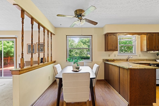 9 Intermeadows Way, Powell, OH 43065 - dining space featuring a textured ceiling, light wood-style flooring, plenty of natural light, and a ceiling fan