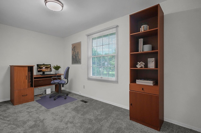 764 Towne Krier Ct, Newark, OH 43055 - office area with carpet flooring