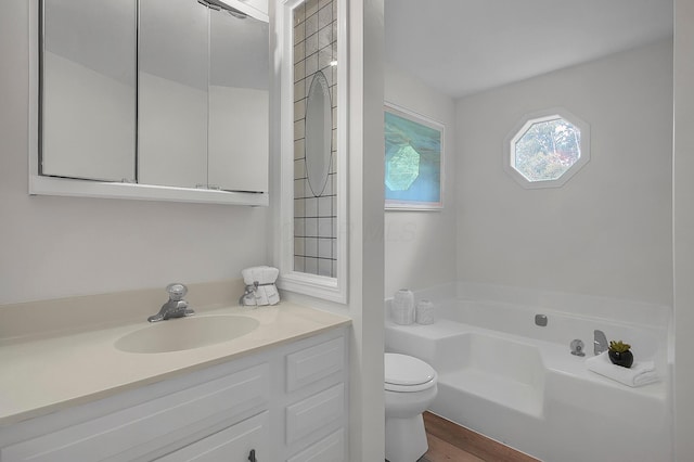 764 Towne Krier Ct, Newark, OH 43055 - full bath with a garden tub, vanity, and wood finished floors