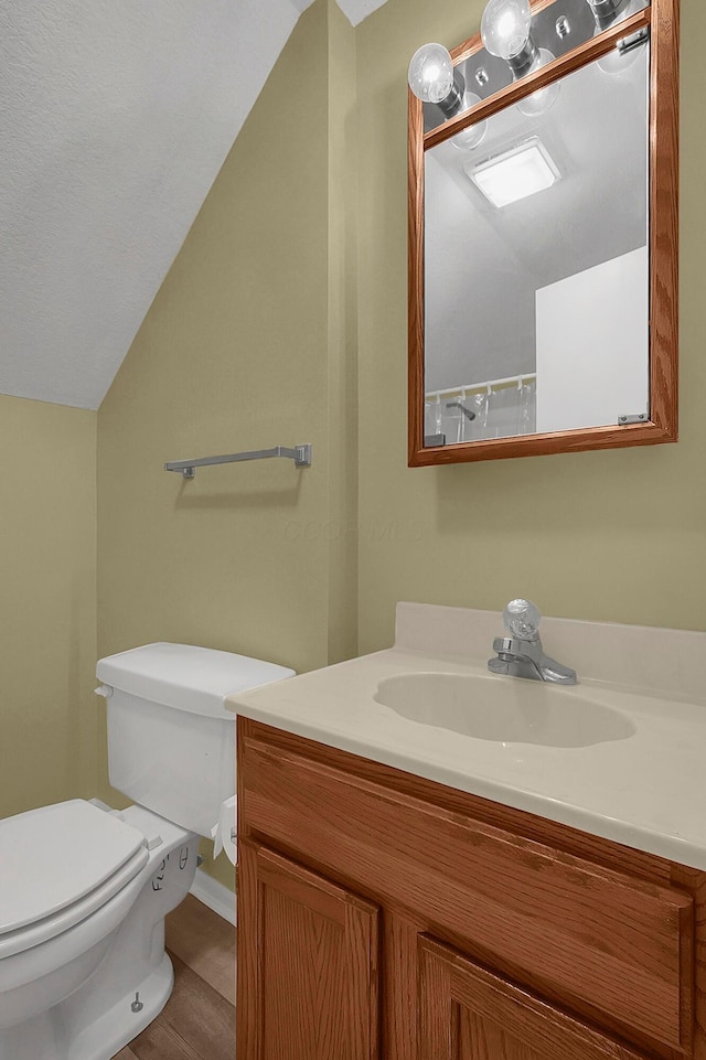 764 Towne Krier Ct, Newark, OH 43055 - bathroom featuring lofted ceiling and vanity
