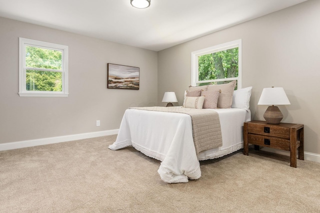 1120 Fairway Blvd, Columbus, OH 43213 - bedroom with multiple windows and light colored carpet