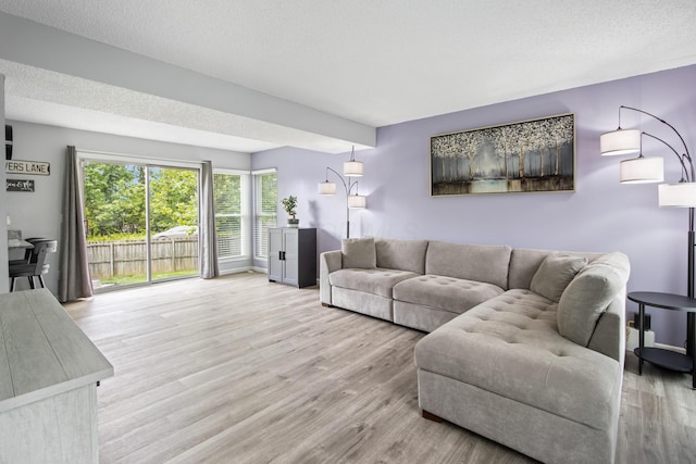 3124 Hillrose Dr, Hilliard, OH 43026 - living room featuring wood finished floors