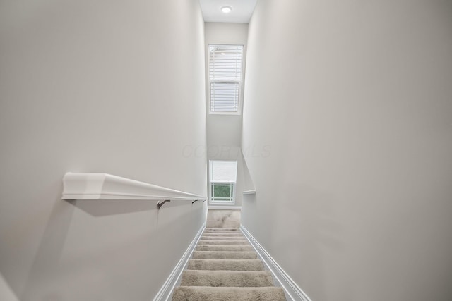1364 Robinof Dr, Grove City, OH 43123 - staircase with baseboards and carpet