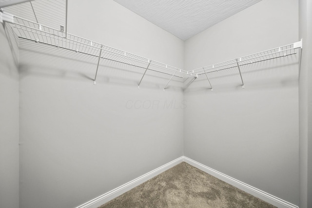 1364 Robinof Dr, Grove City, OH 43123 - walk in closet featuring carpet flooring