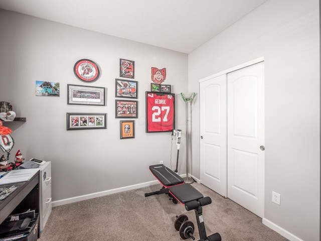 326 Mannaseh Dr W, Granville, OH 43023 - exercise room featuring light colored carpet