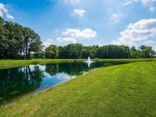 326 Mannaseh Dr W, Granville, OH 43023 - water view