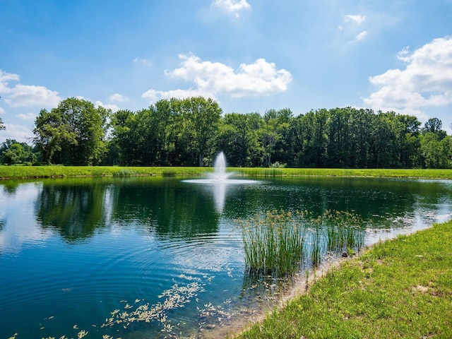 326 Mannaseh Dr W, Granville, OH 43023 - water view featuring a heavily wooded area