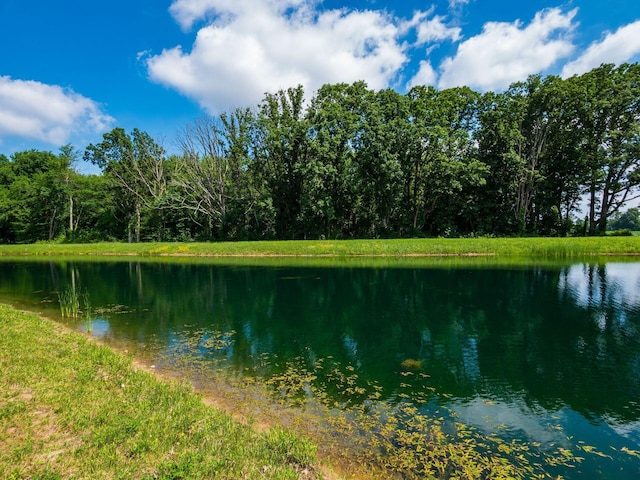 326 Mannaseh Dr W, Granville, OH 43023 - water view featuring a forest
