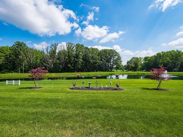 326 Mannaseh Dr W, Granville, OH 43023 - view of property's community featuring a water view and a lawn