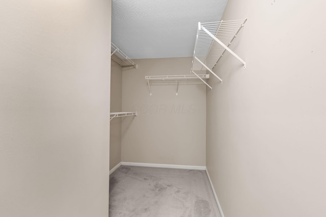 9460 Clermont Cir, Powell, OH 43065 - walk in closet featuring carpet flooring