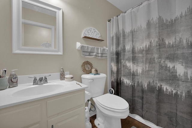 5405 Boucher Dr, Orient, OH 43146 - bathroom featuring vanity, wood finished floors, and a shower with shower curtain