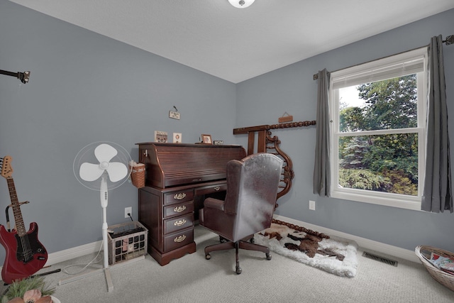 5405 Boucher Dr, Orient, OH 43146 - home office with baseboards and carpet
