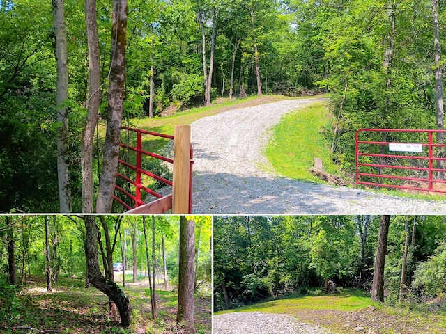 0 Township Road 128 Se (Turkey Run Tract 4), New Lexington, OH 43764 - photo 1