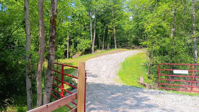 0 Township Road 128 Se (Turkey Run Tract 4), New Lexington, OH 43764 - photo 7