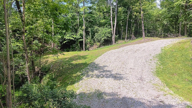 0 Township Road 128 Se (Turkey Run Tract 4), New Lexington, OH 43764 - photo 8