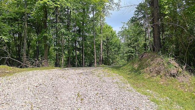 0 Township Road 128 Se (Turkey Run Tract 4), New Lexington, OH 43764 - photo 9