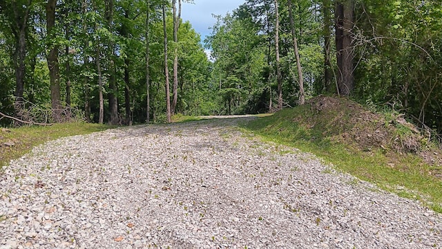 0 Township Road 128 Se (Turkey Run Tract 4), New Lexington, OH 43764 - photo 10