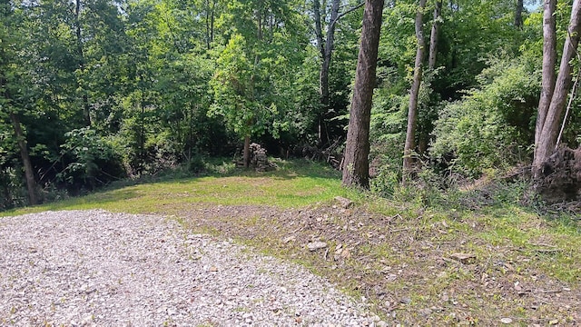0 Township Road 128 Se (Turkey Run Tract 4), New Lexington, OH 43764 - photo 12