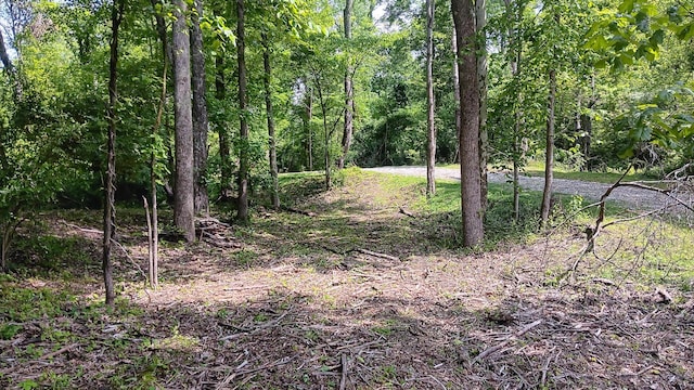 0 Township Road 128 Se (Turkey Run Tract 4), New Lexington, OH 43764 - photo 15