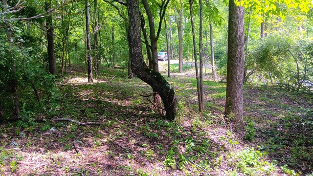 0 Township Road 128 Se (Turkey Run Tract 4), New Lexington, OH 43764 - photo 16