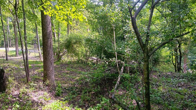0 Township Road 128 Se (Turkey Run Tract 4), New Lexington, OH 43764 - photo 18