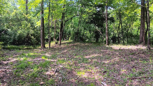 0 Township Road 128 Se (Turkey Run Tract 4), New Lexington, OH 43764 - photo 20