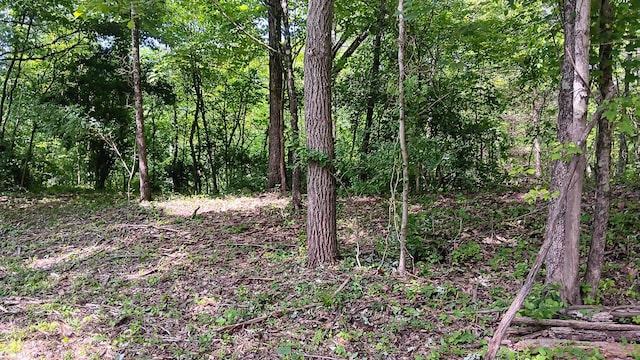 0 Township Road 128 Se (Turkey Run Tract 4), New Lexington, OH 43764 - photo 21